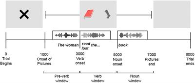 Word prediction using closely and moderately related verbs in Down syndrome